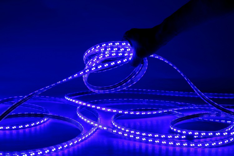 5730 120D 12MM Purple Light Strip