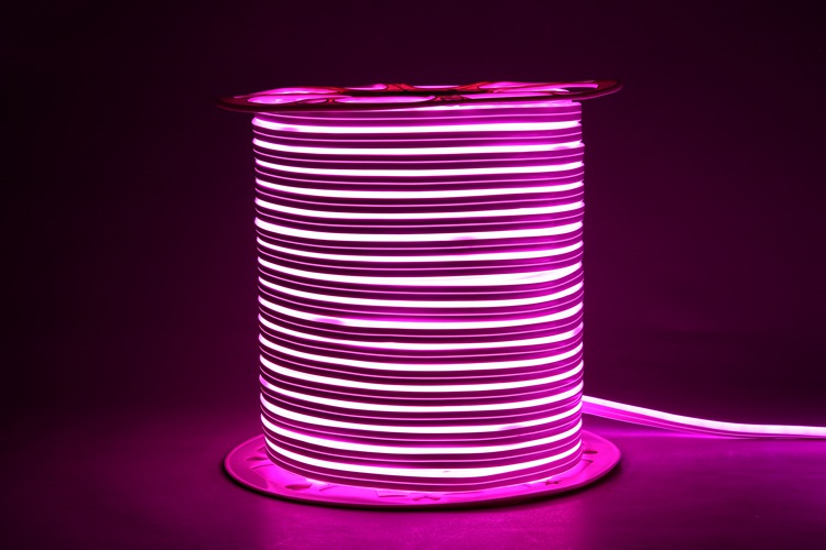 Pink Neon Rope Light