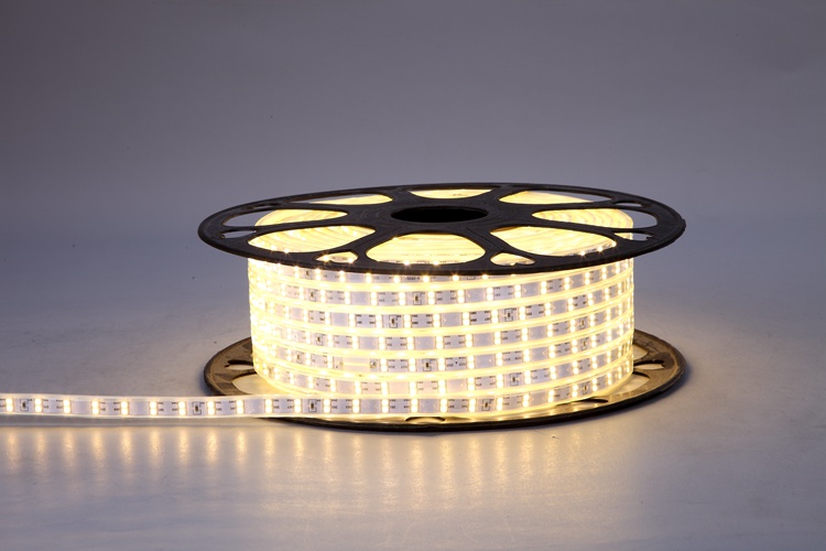 2835 120D 10MM Warm White Light