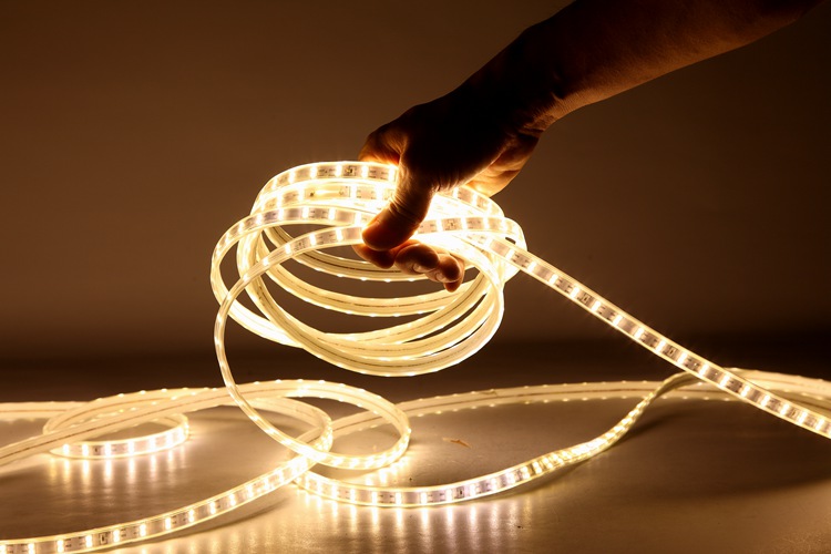 2835 120D 10MM Warm White Light