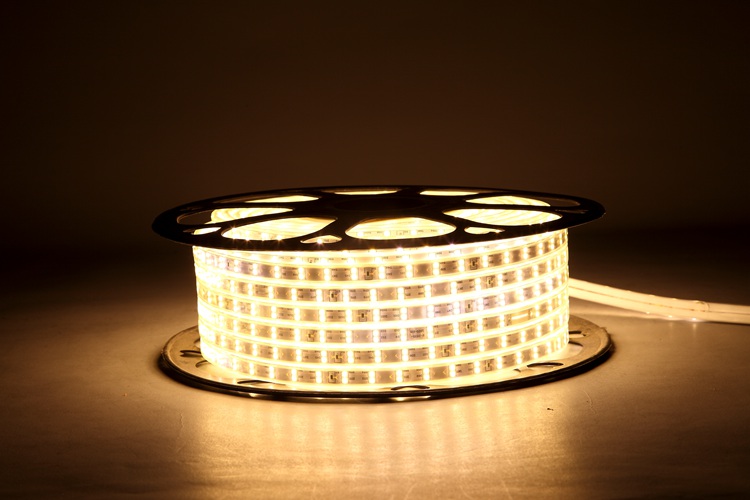 2835 120D 10MM Warm White Light