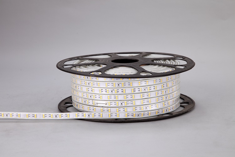 2835 120D 10MM Warm White Light