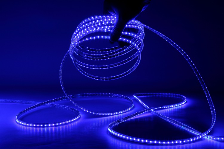 3014 108d 4mm purple led strips 7
