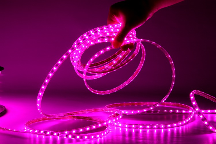4040 60d 6mm pink light strip 5